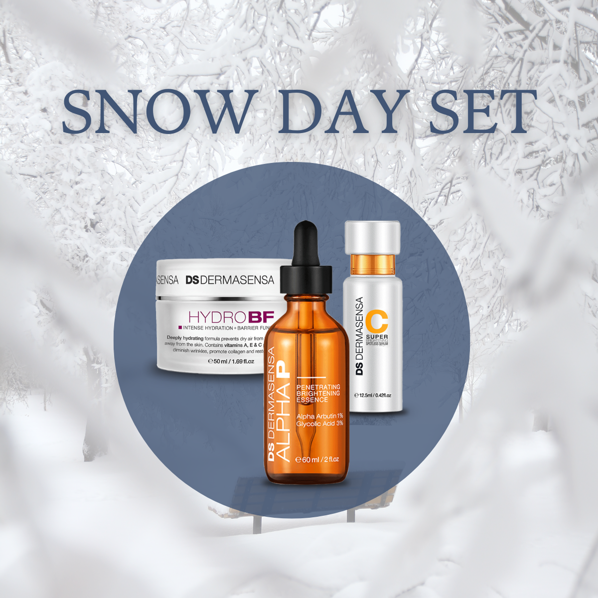 Snow Day Set